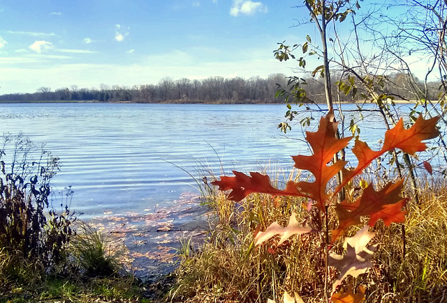 Mild November weather at the lake.