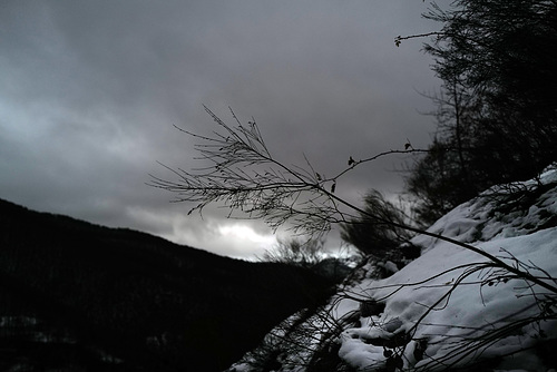 Oseja de Sajambre, Picos de Europa, almost night