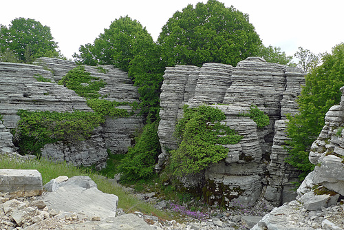 Greece - Monodendri, stone forest