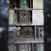 brompton cemetery , london,c19 coffins in the 1840s catacombs