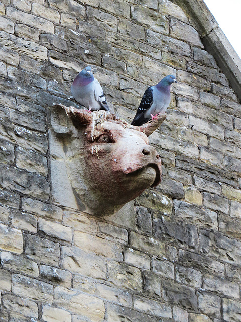 bull's head, faringdon, berks