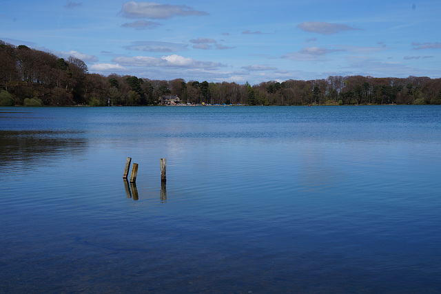 Talkin Tarn, Cumbria