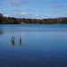 Talkin Tarn, Cumbria