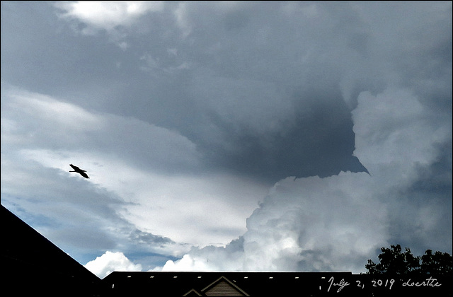 A Great Blue Heron flew through the picture as I shot this of the clouds.