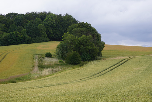 Der "Nüll" bei trübem Wetter