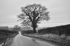 B&W Country Lanes