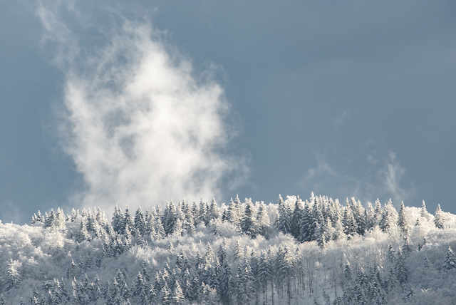 Rhön - 20210101