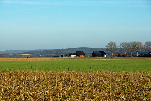 view to the Reichswald ¤ D , from Groesbeek ¤ NL