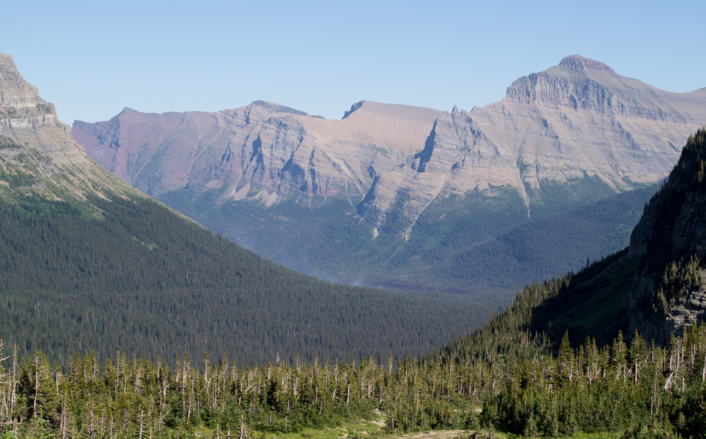 Montana Glacier NP Logan Pass  (#0232)