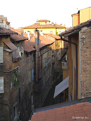 Bologna, Canale delle Moline, 3 (2009)