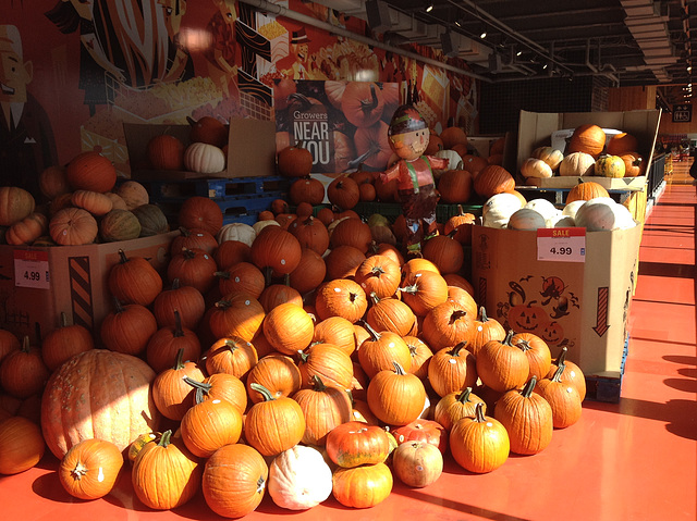 Toronto gets ready for Halloween Toronto gets ready for Halloween