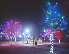Roosevelt Park Christmas Lights