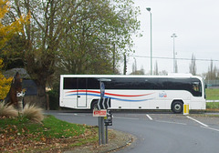 The St. Edmund's Wolf  and a Suffolk Norse coach in Bury St. Edmunds - 7 Nov 2017 (DSCF0277)