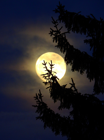 der Aufriss des Abends ;).........PiP