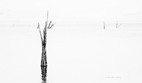 Lago Trasimeno