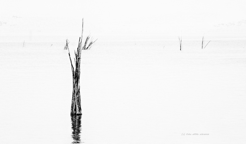 Lago Trasimeno