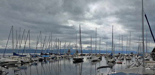 Morges VD / Genfersee