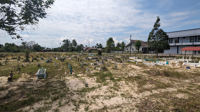 Semi-desert cemetery with an Islamic flavour