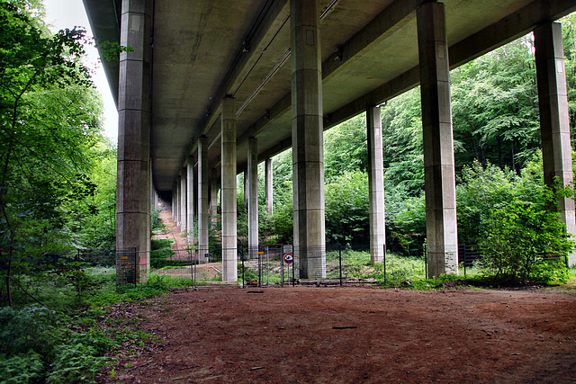 Talbrücke Rombergholz der A45 (Stadtwald Bittermark, Dortmund) / 18.05.2024