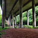 Talbrücke Rombergholz der A45 (Stadtwald Bittermark, Dortmund) / 18.05.2024