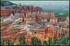 Pink shades, Bryce canyon
