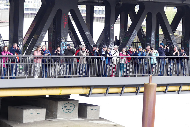 Die ganze Clique auf einer Brücke!