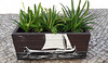 Street art on flower bed.