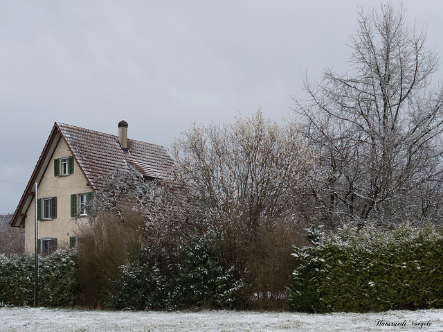 Frühlings Schnee