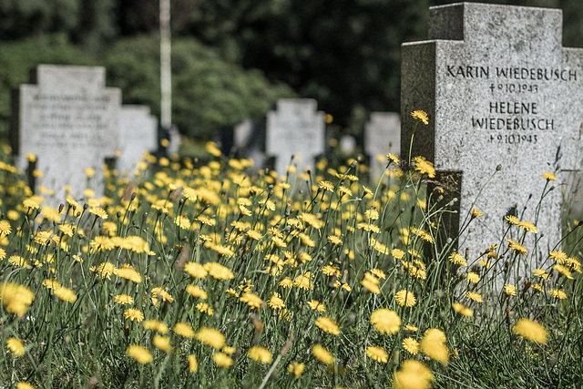 Friedhof