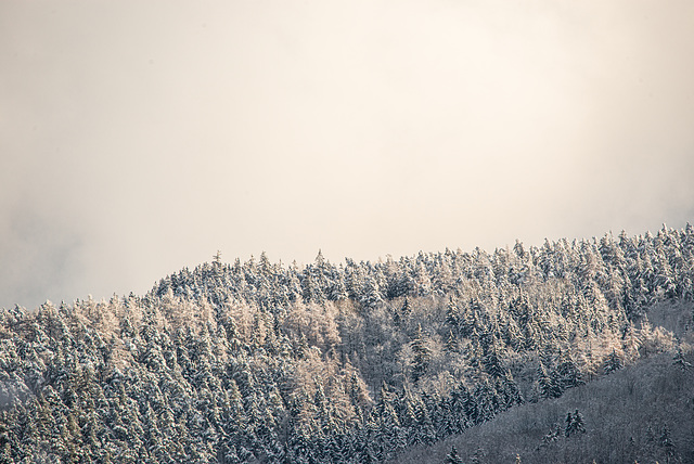 Rhön - 20210101