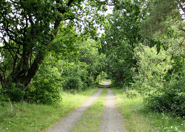 Wanderweg