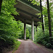 Talbrücke Rombergholz der Autobahn A45 (Stadtwald Bittermark, Dortmund) / 18.05.2024