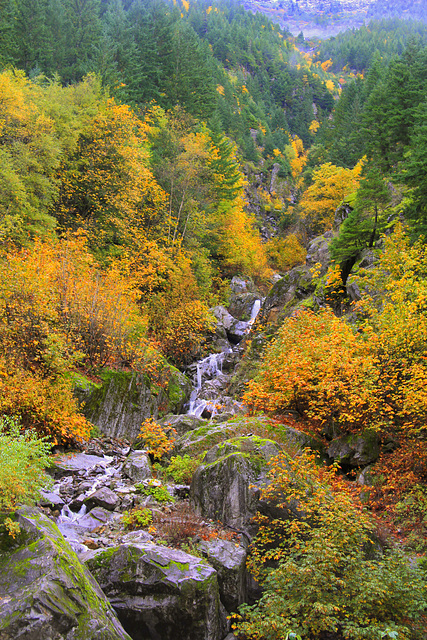 Autumn in the North Cascades