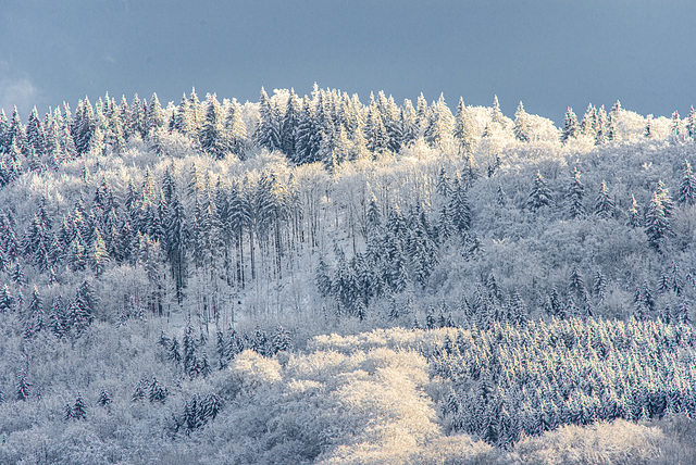 Rhön - 20210101