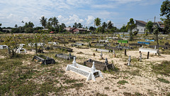 Cimetière islamique / Islamic cemetery