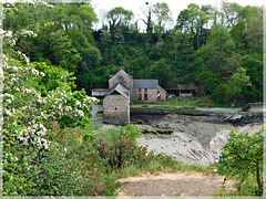 Depuis le chemin , vue vers le moulin du Prat à la Vicomté sur Rance (22)