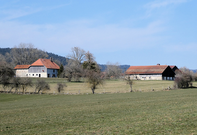 Orchamps-Vennes (Bonnelin) (25) 30 mars 2019.