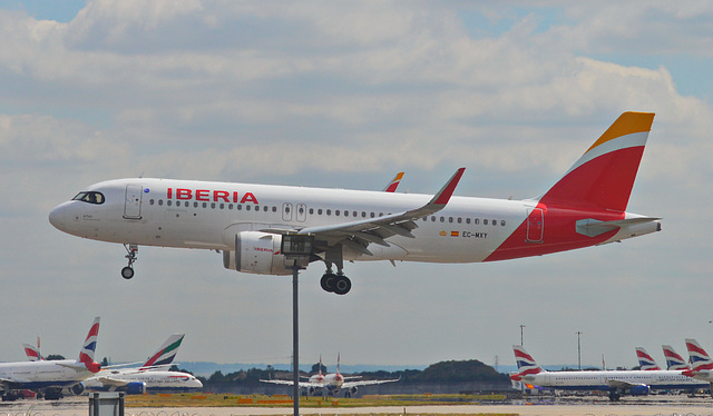 Iberia MXY