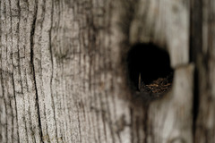 DSCF5316