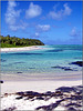Cielo azzurro e acqua turchese -  Blue Bay isola Mauritius