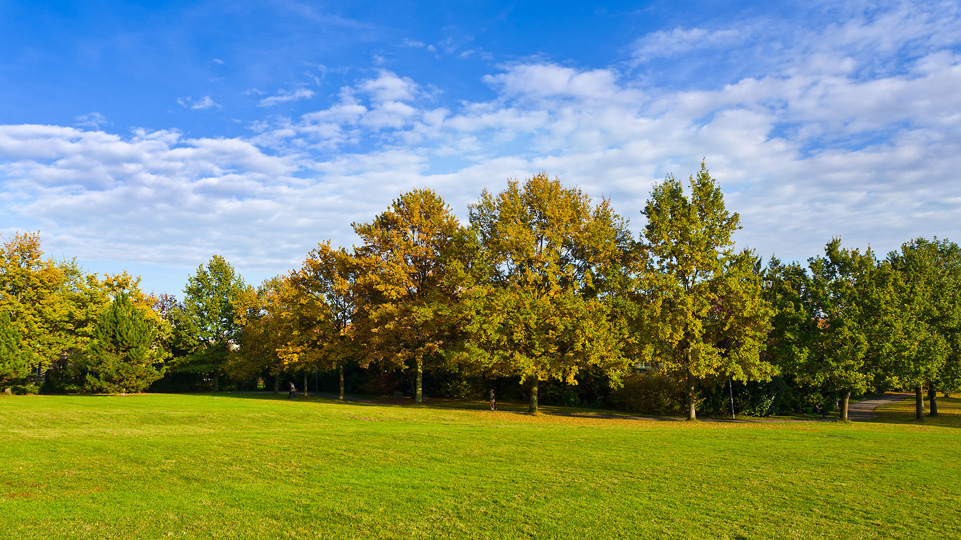 111102 parc Moillebeau Geneve