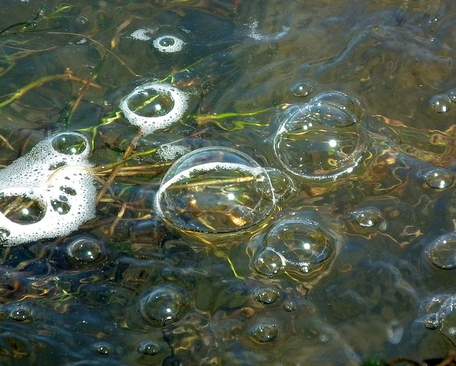 bubbles / bulles