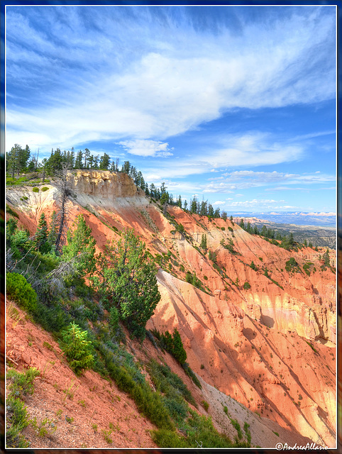 Pink cliffs, Bryce Canyon
