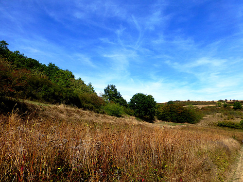 DE - Polch - Hiking the Paradiesweg