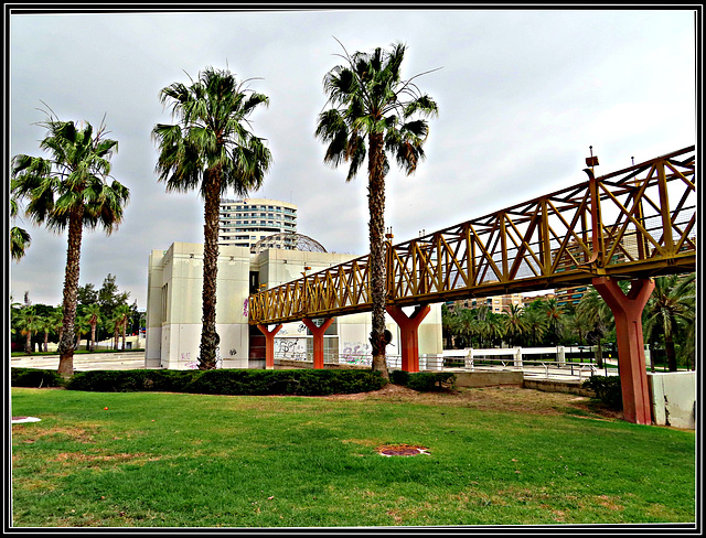 Valencia: parque del Turia, 1