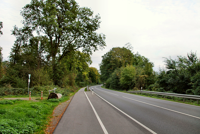 B226 Willy-Brandt-Allee (Gelsenkirchen) / 5.10.2019