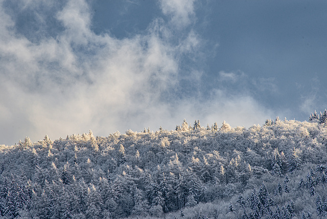 Rhön - 20210101