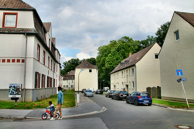 Wehrling (Dortmund-Westerfilde) / 11.07.2020