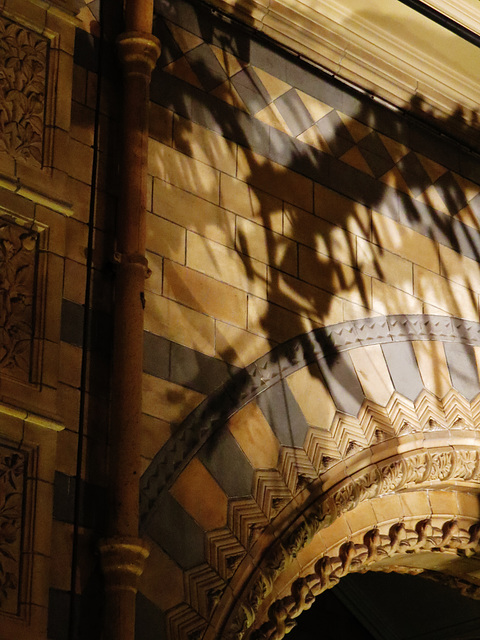 natural history museum, south kensington, london