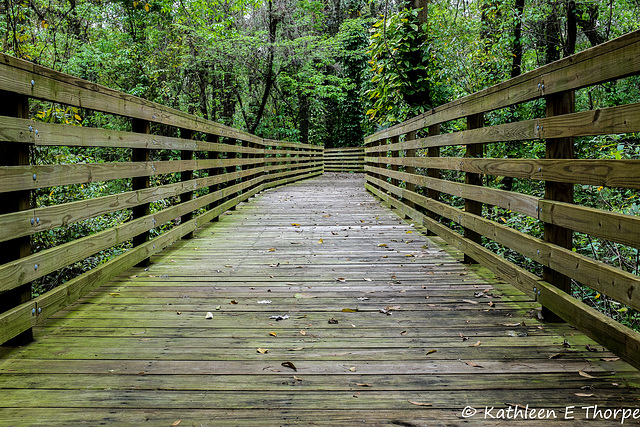 Eureka Springs Trail #2